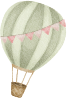 hot air balloon