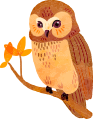 owl