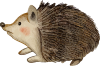 hedgehog